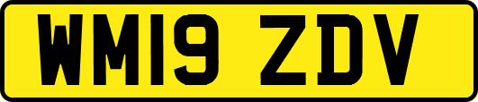 WM19ZDV
