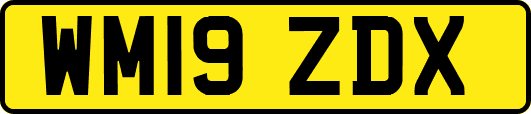 WM19ZDX