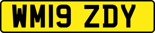WM19ZDY