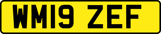 WM19ZEF