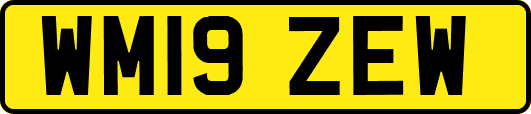 WM19ZEW