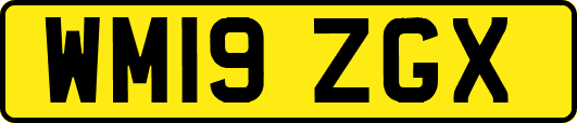 WM19ZGX