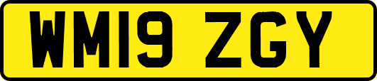 WM19ZGY