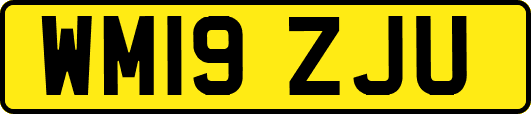 WM19ZJU