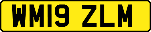 WM19ZLM