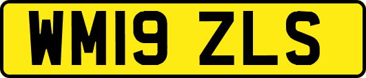WM19ZLS