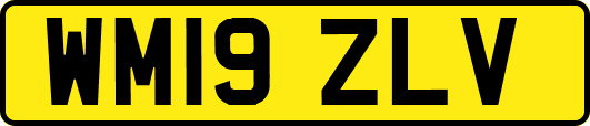 WM19ZLV