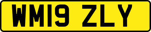 WM19ZLY