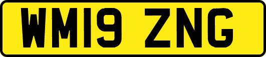 WM19ZNG