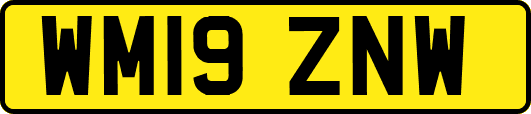WM19ZNW