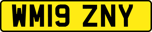 WM19ZNY