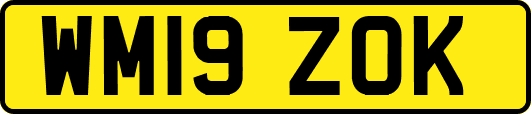 WM19ZOK
