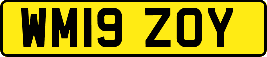 WM19ZOY
