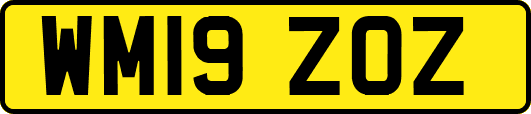 WM19ZOZ