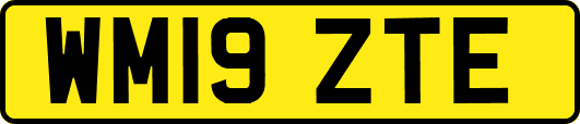 WM19ZTE