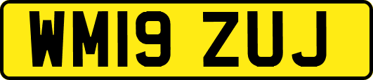 WM19ZUJ