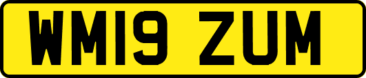 WM19ZUM