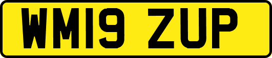 WM19ZUP