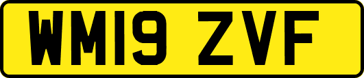 WM19ZVF