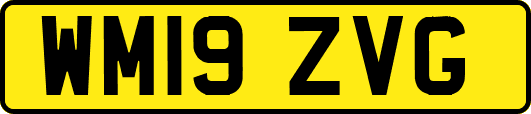 WM19ZVG