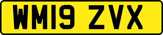 WM19ZVX