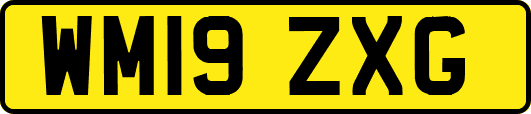 WM19ZXG