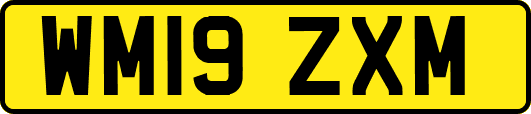 WM19ZXM