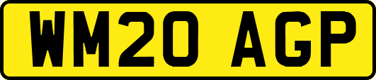 WM20AGP