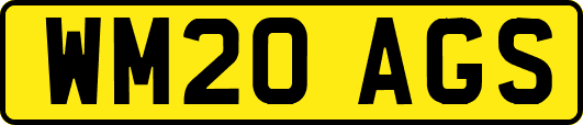 WM20AGS