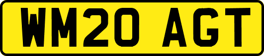 WM20AGT