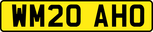 WM20AHO