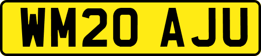 WM20AJU