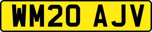 WM20AJV
