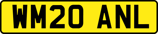 WM20ANL