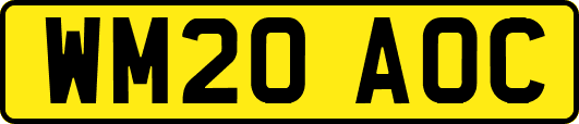 WM20AOC