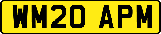WM20APM