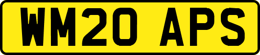 WM20APS