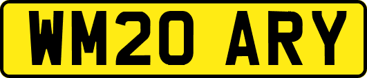 WM20ARY
