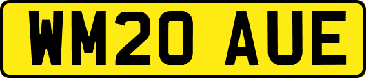 WM20AUE