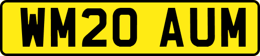 WM20AUM