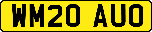 WM20AUO