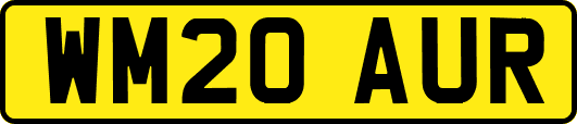 WM20AUR