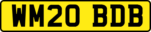 WM20BDB