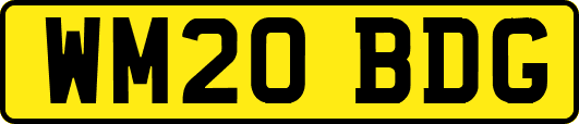 WM20BDG