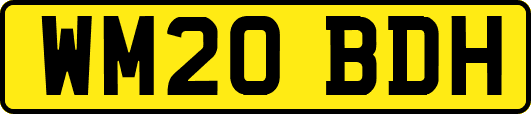 WM20BDH