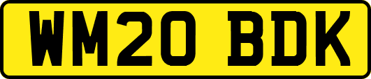 WM20BDK