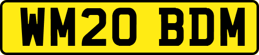 WM20BDM