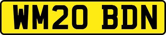WM20BDN