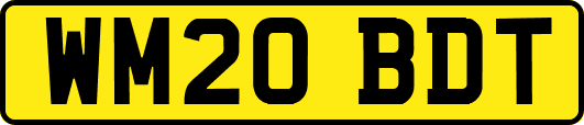 WM20BDT
