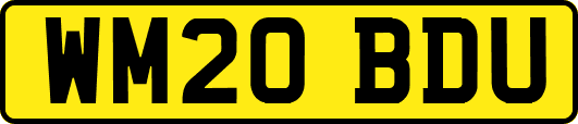 WM20BDU